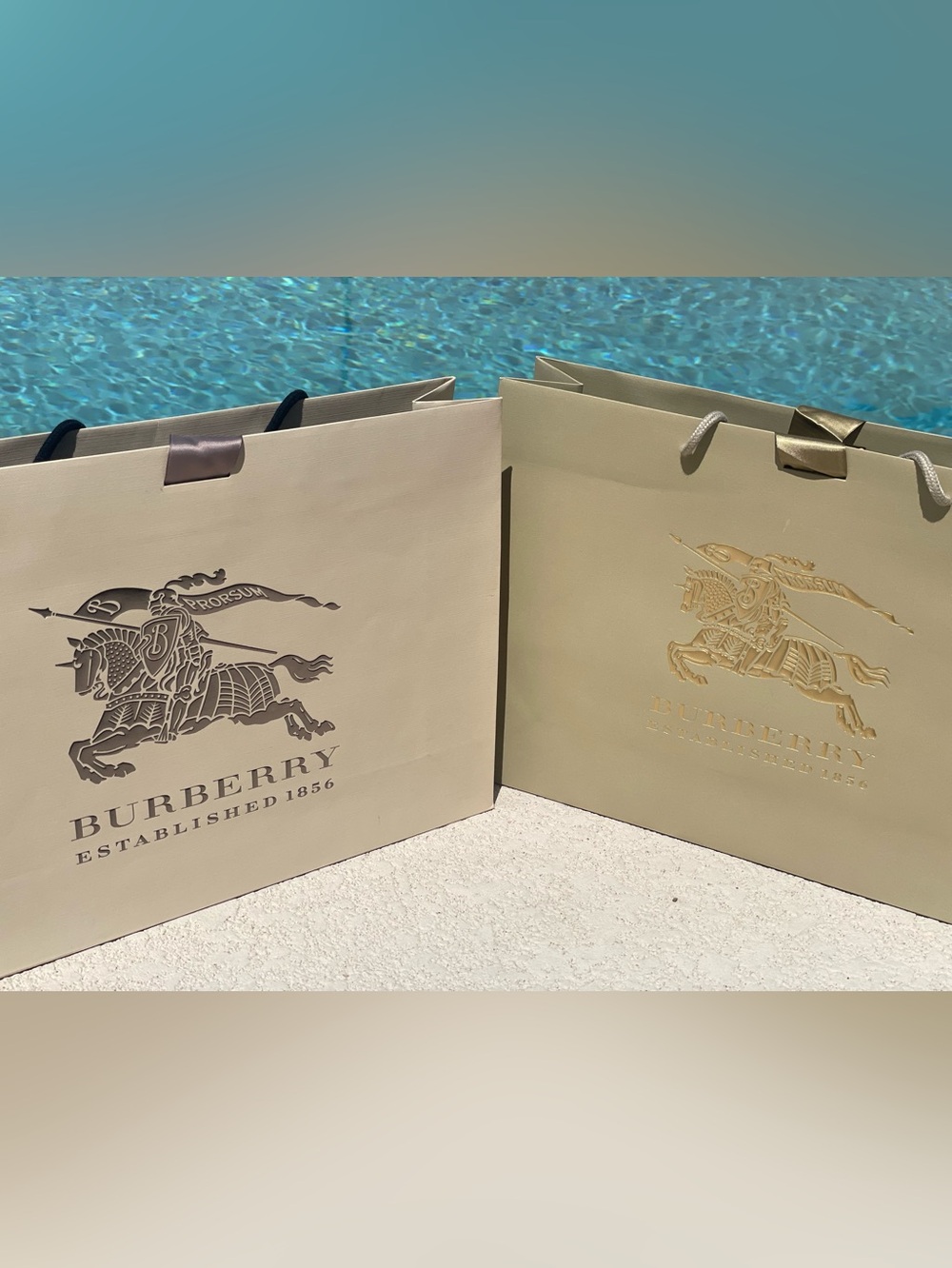 Burberry Equestrian Knight Prorsum Large Luxury Shopping Bags Set of 2